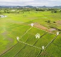 Corner Plot with Park Facing