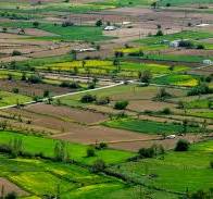 Corner Plot with Park Facing